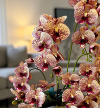 Load image into Gallery viewer, Premium Faux Leopard Orchid Arrangement