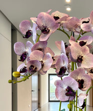 Load image into Gallery viewer, Premium Faux Inkberry Orchid Arrangement
