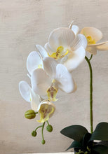 Load image into Gallery viewer, Deluxe Faux White Orchid Arrangement