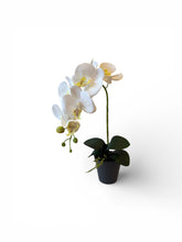 Load image into Gallery viewer, Deluxe Faux White Orchid Arrangement