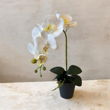 Load image into Gallery viewer, Deluxe Faux White Orchid Arrangement