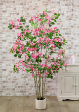 Load image into Gallery viewer, Wild Bougainvillea Tree 170cm